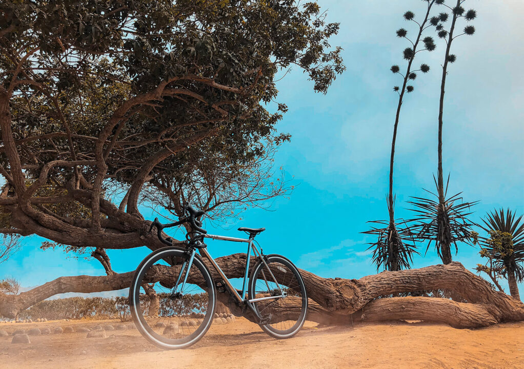 An amazing adventure in the mountain reserves.